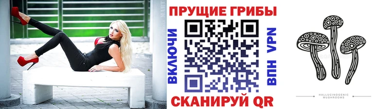 Псилоцибиновые грибы Magic Shrooms  OMG ССЫЛКА  Яровое 
