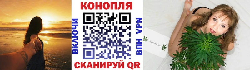 где купить наркотик  Яровое  МАРИХУАНА конопля 